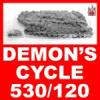 530/120 Standard Motorcycle Drive Chain for Harley-Davidson CHAIN HARLEY DEMONS STANDARD 52-256 Image 