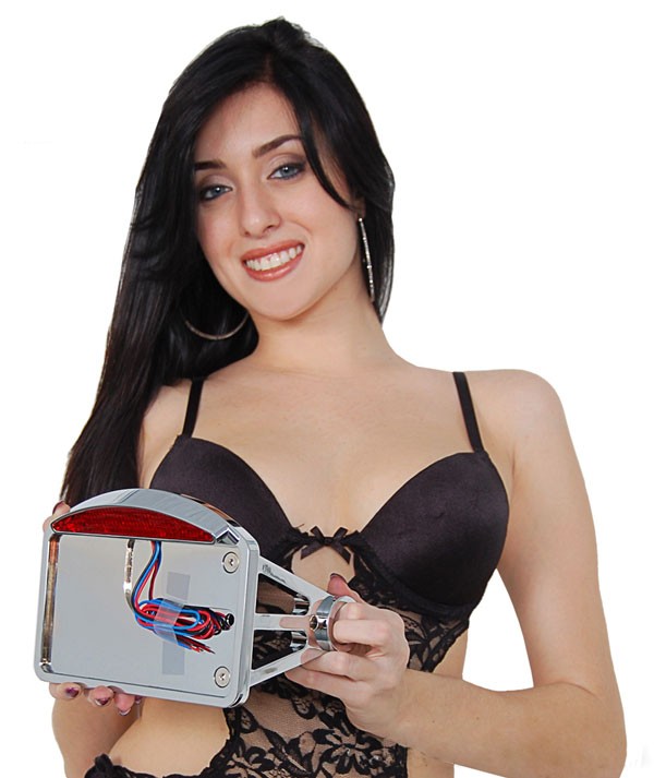 Chrome Billet Side Mount License Plate Bracket and LED Taillight for Harley Motorcycles